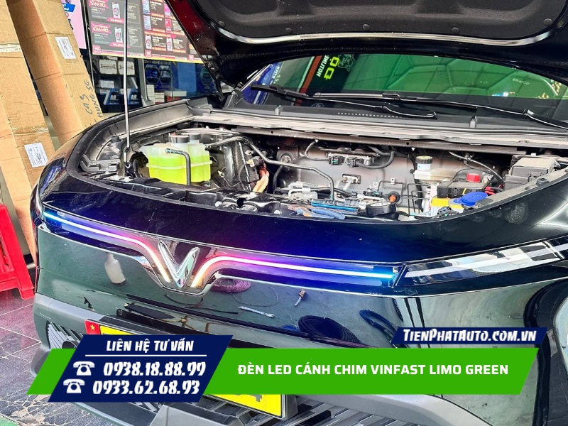 Tiến Phát Auto chuyên độ đèn LED cánh chim cho Limo Green Tiến Phát Auto chuyên độ đèn LED cánh chim cho Limo Green