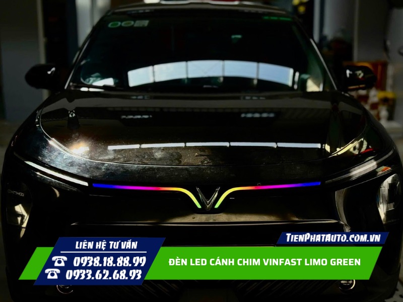 LED cánh chim trước có thể chỉnh màu sắc và hiệu ứng tùy thích LED cánh chim trước có thể chỉnh màu sắc và hiệu ứng tùy thích