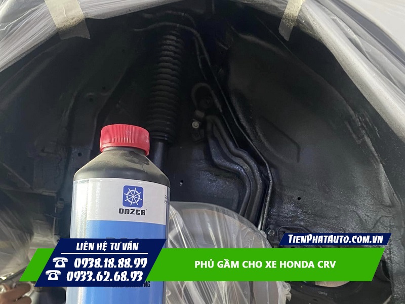 Gốc nước và gốc cao su là lựa chọn mà bạn không thể bỏ qua